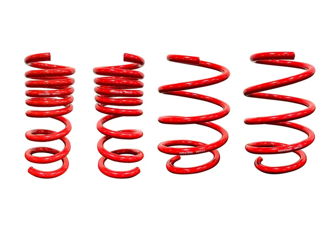2018-2026 Roush Mustang MagneRide Lowering Springs — image 1
