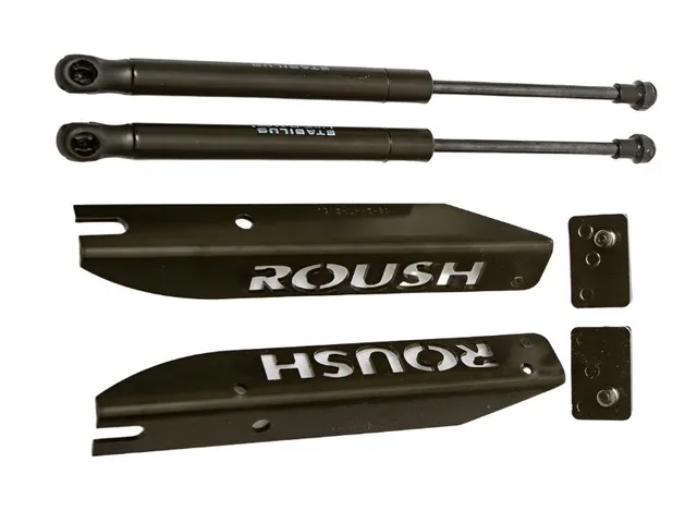 2005-2014 Roush Mustang Hood Struts — image 1