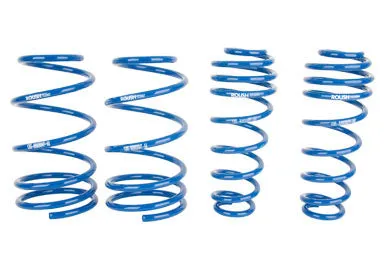 2005-2014 Roush Mustang Lowering Springs — image 1